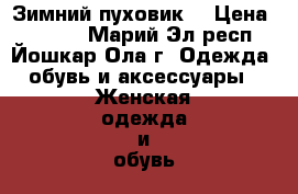 Зимний пуховик  › Цена ­ 3 000 - Марий Эл респ., Йошкар-Ола г. Одежда, обувь и аксессуары » Женская одежда и обувь   